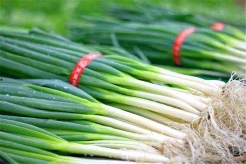 琴儿吃瓜,揭秘娱乐圈那些不为人知的幕后故事