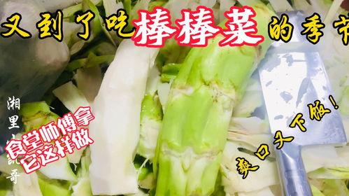 郓城吃瓜老师,揭秘乡村教育中的趣味与挑战