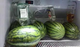 酒瓶吃瓜,一瓶酒背后的瓜田传奇