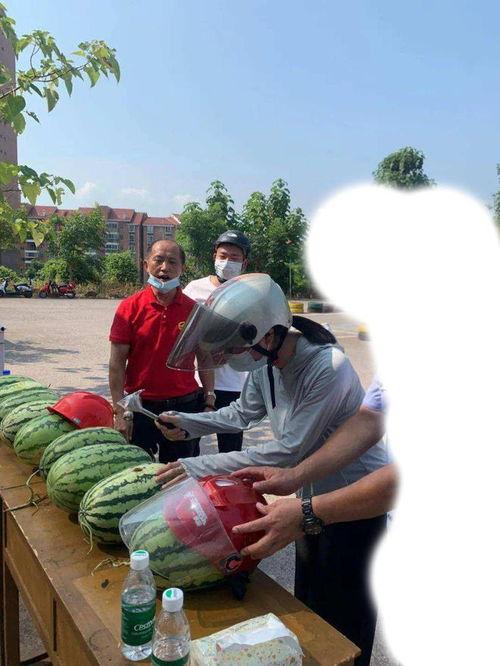 浚县吃瓜事件,一场网络热议背后的真相与反思