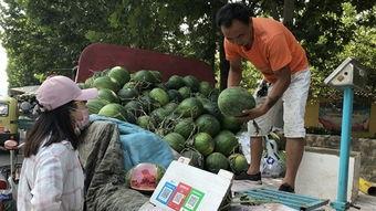 吃瓜摆摊张大贵,揭秘街头小吃的魅力人生