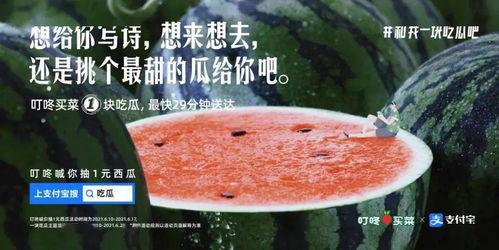 送花吃瓜文案,一场别开生面的送花吃瓜盛宴