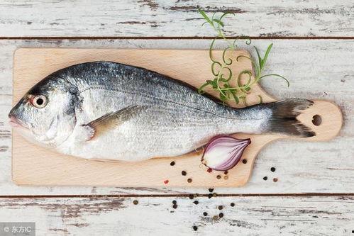 阿鱼直播吃瓜,一场美食与娱乐的盛宴