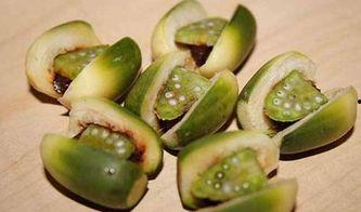 吃哈密瓜嘴吃烂了,美味背后的小烦恼