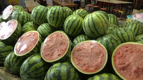 吃最便宜的瓜,探寻最便宜的瓜，品味生活智慧