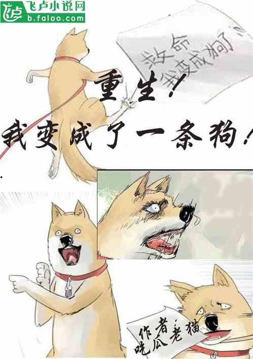 重生快乐吃瓜的小说