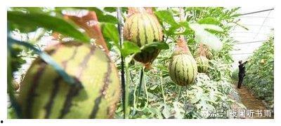 泪目吃瓜,揭秘娱乐圈背后的感人故事与八卦风云