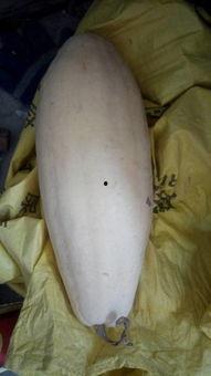 大白在吃瓜顾盼,揭秘娱乐圈幕后风云