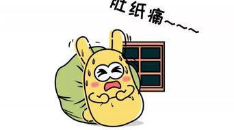 吃瓜群众548,一场全民参与的娱乐盛宴