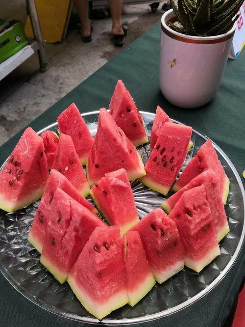 吃瓜比赛需要多久,吃瓜比赛，谁将最快夺冠？