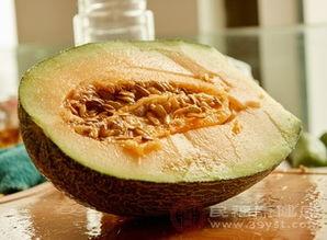 长体藓可以吃哈密瓜吗,探索植物界的奇妙共生