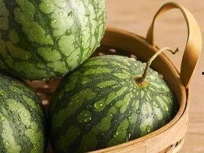 最新鲜的吃瓜,揭秘娱乐圈最新鲜的瓜料大揭秘