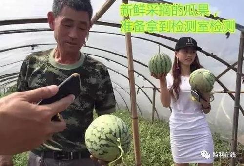 甲方吃瓜群众直播,揭秘直播间的幕后故事