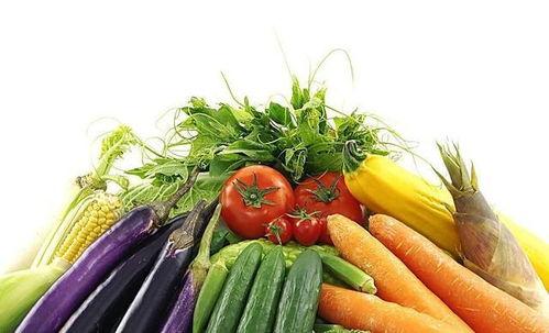 盘问成精的蔬菜带你吃瓜,带你探索瓜果世界的奇妙之旅