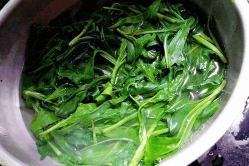 西湖瓜尖可以吃吗,美味还是禁忌？探究其可食用性