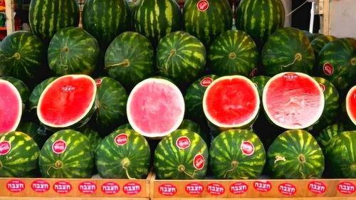 天天买瓜吃,天天买瓜吃的甜蜜生活