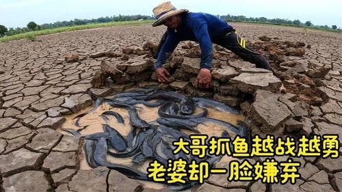 干涸地 吃瓜,探寻荒漠中的绿色奇迹