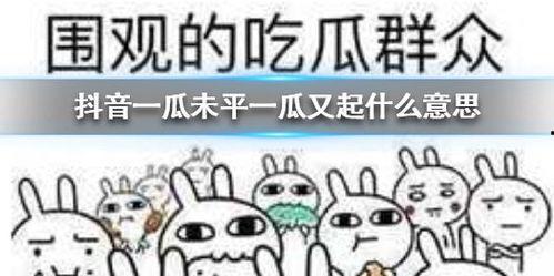 抖音吃瓜传播,揭秘网络传播的瓜界风云