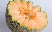 哈密瓜能与螃蟹一起吃嘛,哈密瓜与螃蟹同食的注意事项解析