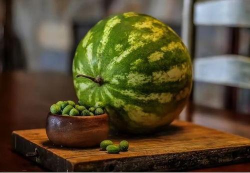 吃菜吃瓜,品味生活，共享美好时光