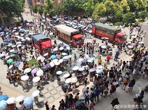 卡车大叔吃瓜,卡车大叔的夏日吃瓜趣事