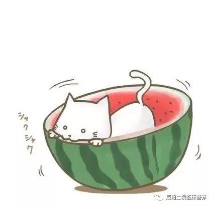 动漫吃瓜系统,揭秘动漫世界里的秘密花园