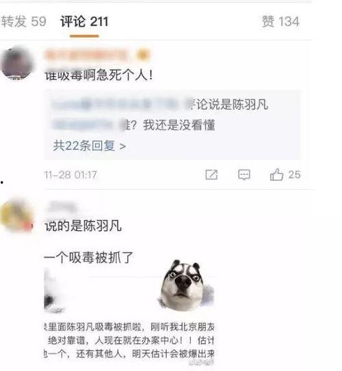 贵圈宝吃瓜,宝吃瓜背后的故事与真相