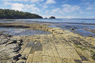 吃瓜亚瑟湾,一场别开生面的美食之旅
