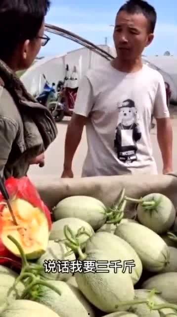 假装吃瓜围观,一场假装吃瓜的围观盛宴