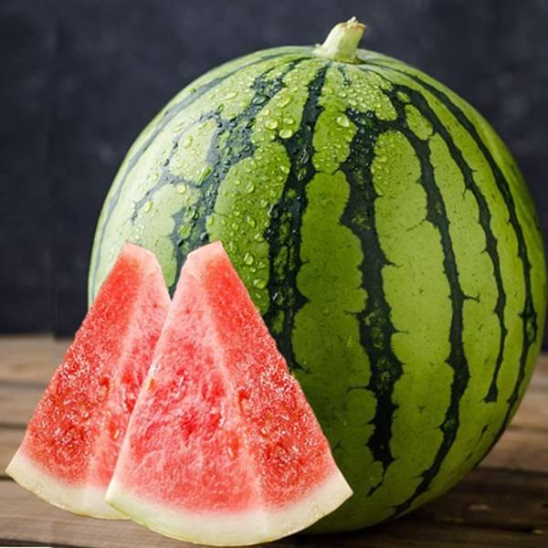 酷家乐内部吃瓜,一场关于吃瓜的狂欢盛宴